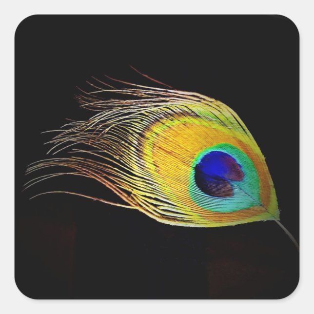 La pluma del pegatina Peacock (Anverso)