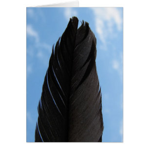 La pluma en el cielo
