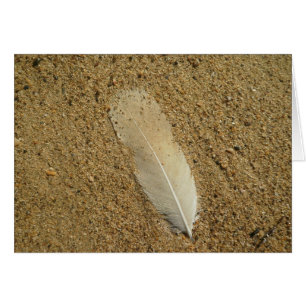 La pluma en la arena