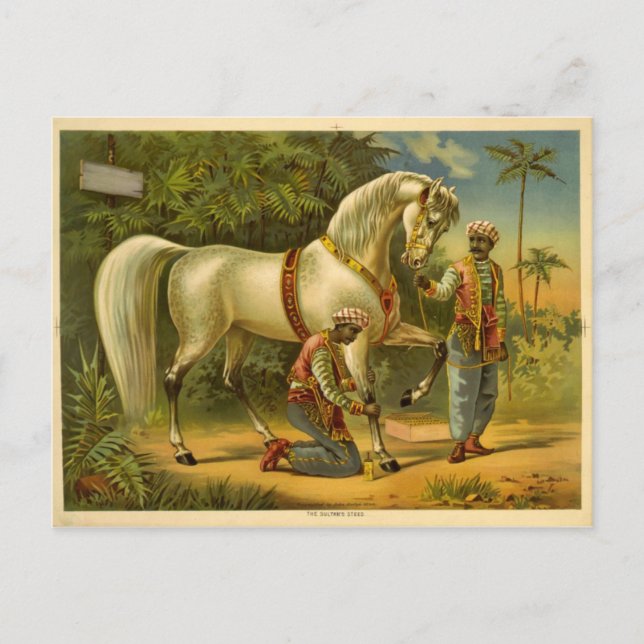 La postal 2012 del calendario del Sultán (Anverso)