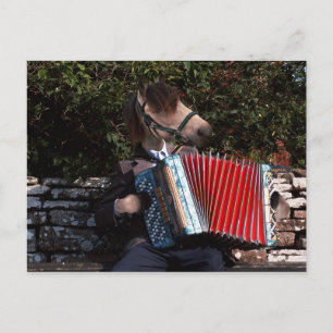 La postal accordian del jugador