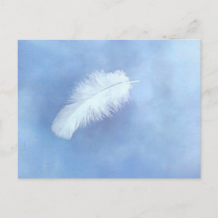 La postal de Angel's Feather