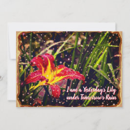 La postal de ayer Lily en Mañana Lluvia