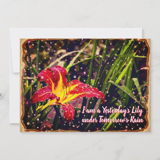 La postal de ayer Lily en Mañana Lluvia (Anverso)