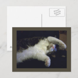 La postal de Chillin