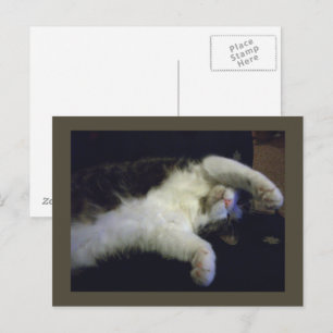 La postal de Chillin