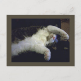 La postal de Chillin