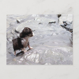 La postal de escalada