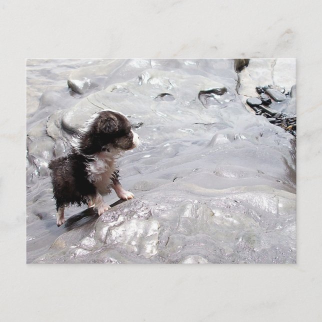 La postal de escalada (Anverso)