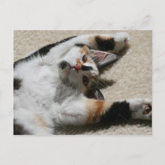 La postal de Hope (Anverso)