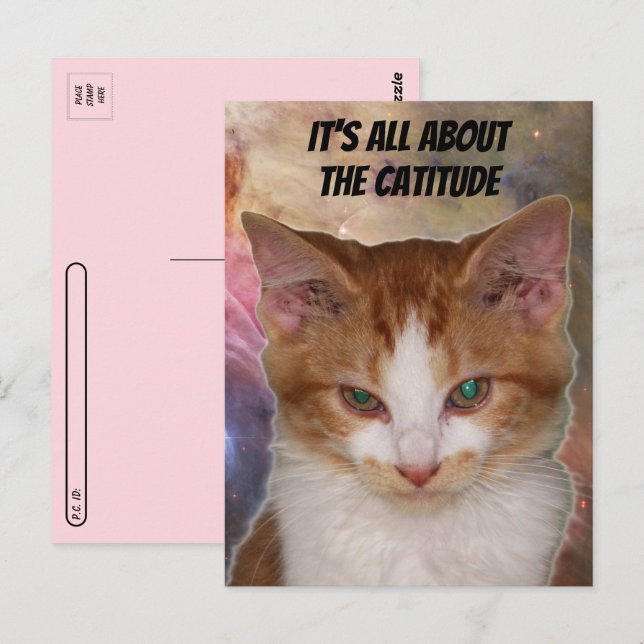 La postal de la actitud de Reba tras cruzar la fro (Anverso / Reverso)