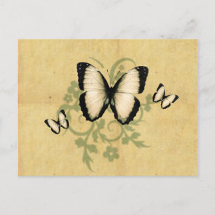 La postal de la mariposa simple