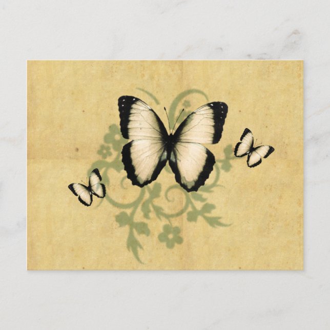 La postal de la mariposa simple (Anverso)