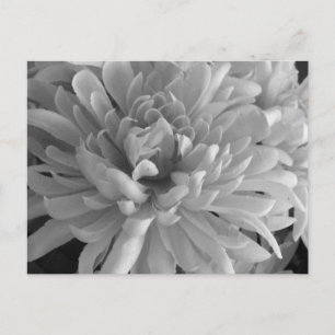 La postal de la palabra "mamá"