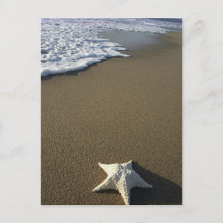 La postal de la playa