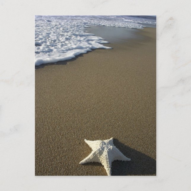 La postal de la playa (Anverso)