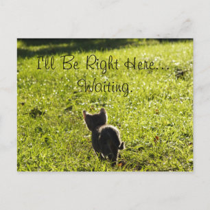 La postal de Lonely Kitten "Missing You"