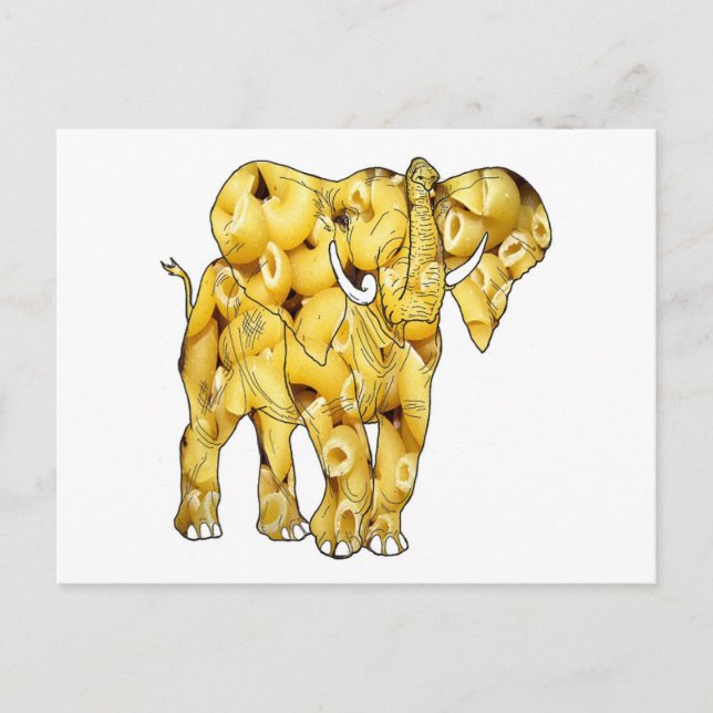 La postal de los Macaroni Noodle Elephant (Anverso)
