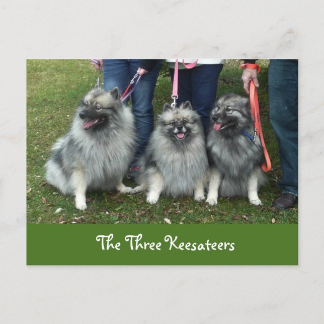 La postal de los tres Keesateers (Anverso)