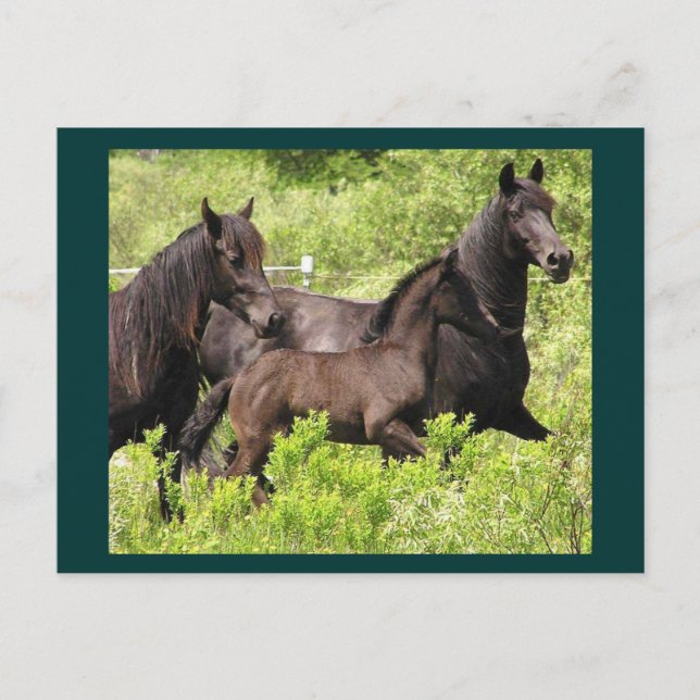 La postal de Mares (Anverso)