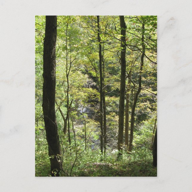 La postal de McCormick (Anverso)