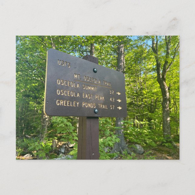La postal de Osceola y Osceola Oriental (Anverso)
