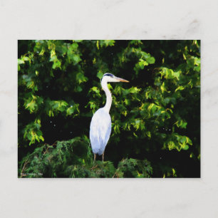 La postal de pájaro blanco