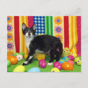 La postal de Pascua de Foxi Moxi