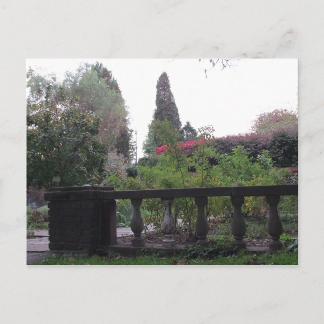 La postal de Scret Garden (Anverso)