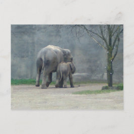 La postal del elefante de amor de la madre