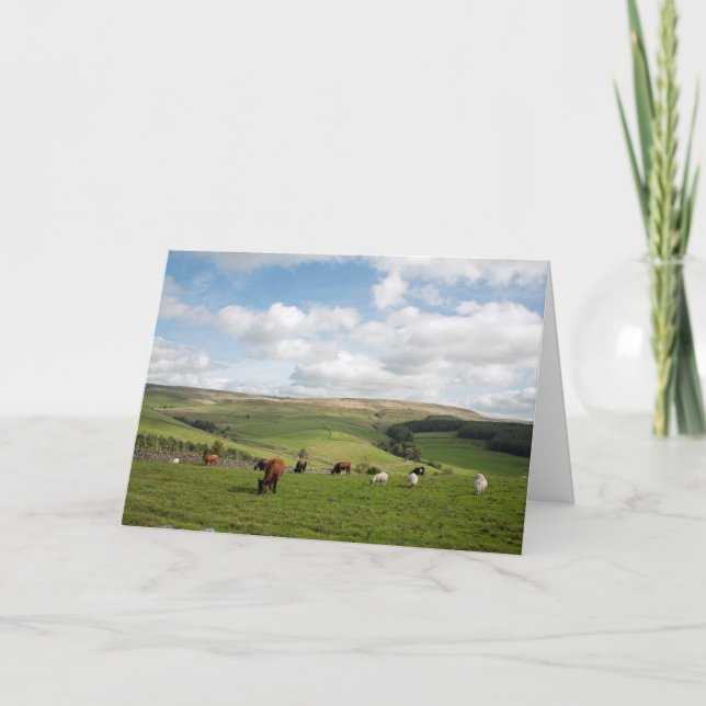 La postal del gato y el violín (Anverso)