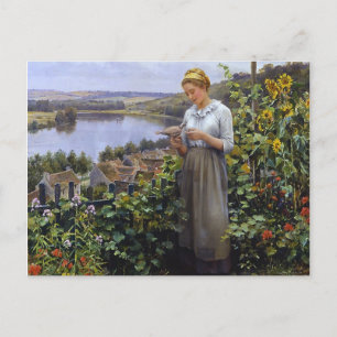 La postal del Mascota Dove - Daniel Ridgway Knight
