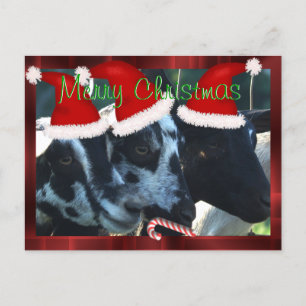 La postal del navidad de los niños de la cabra