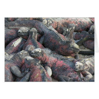 La postal del pacto monstruo