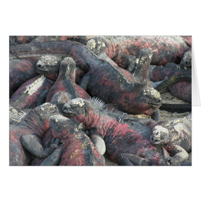 La postal del pacto monstruo (Anverso (Horizontal))