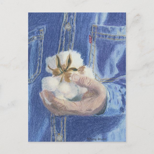 La postal del proveedor (Anverso)