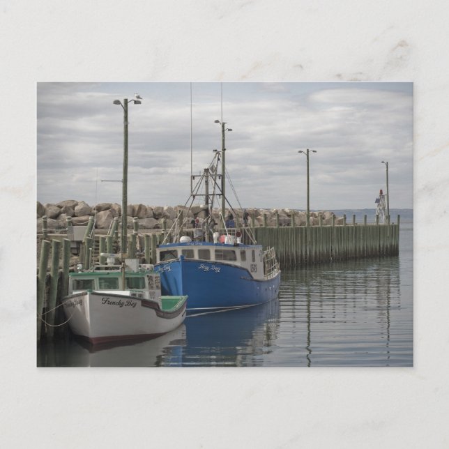 La postal del puerto de Hall (Anverso)