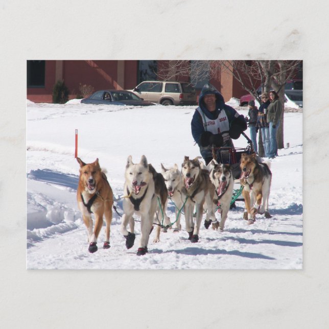 La postal final (Anverso)