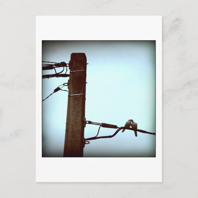 La postal KISS (Anverso)