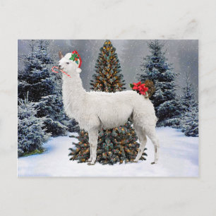 La postal "Los Navidades llaman"