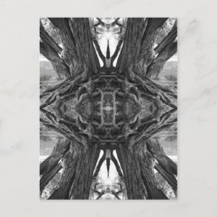 La postal maestra zen