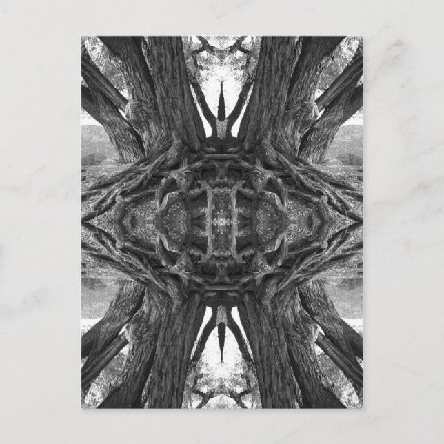 La postal maestra zen (Anverso)