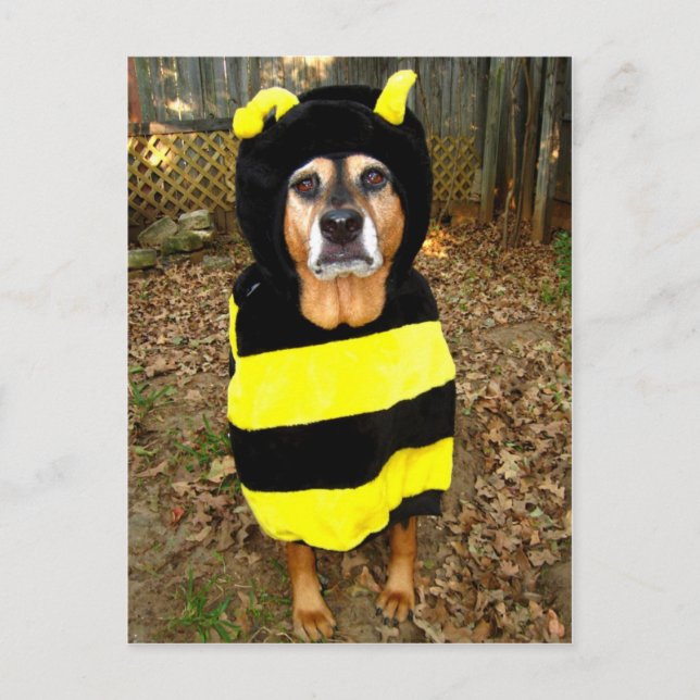 La postal más triste de la abeja (Anverso)
