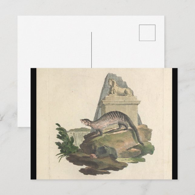 La postal mongol y egipcia de la esfinge (Anverso / Reverso)