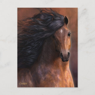 La postal Morgan Horse