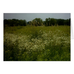 La pradera florece la tarjeta