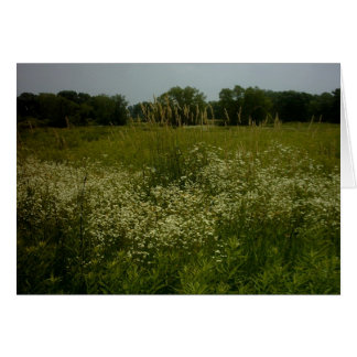 La pradera florece la tarjeta