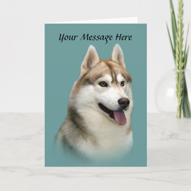 La preciosa tarjeta de bienvenida de Husky Siberia (Anverso)