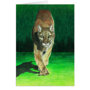 La "presa, ruega" el puma