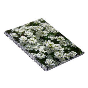 La primavera blanca bonita florece el cuaderno
